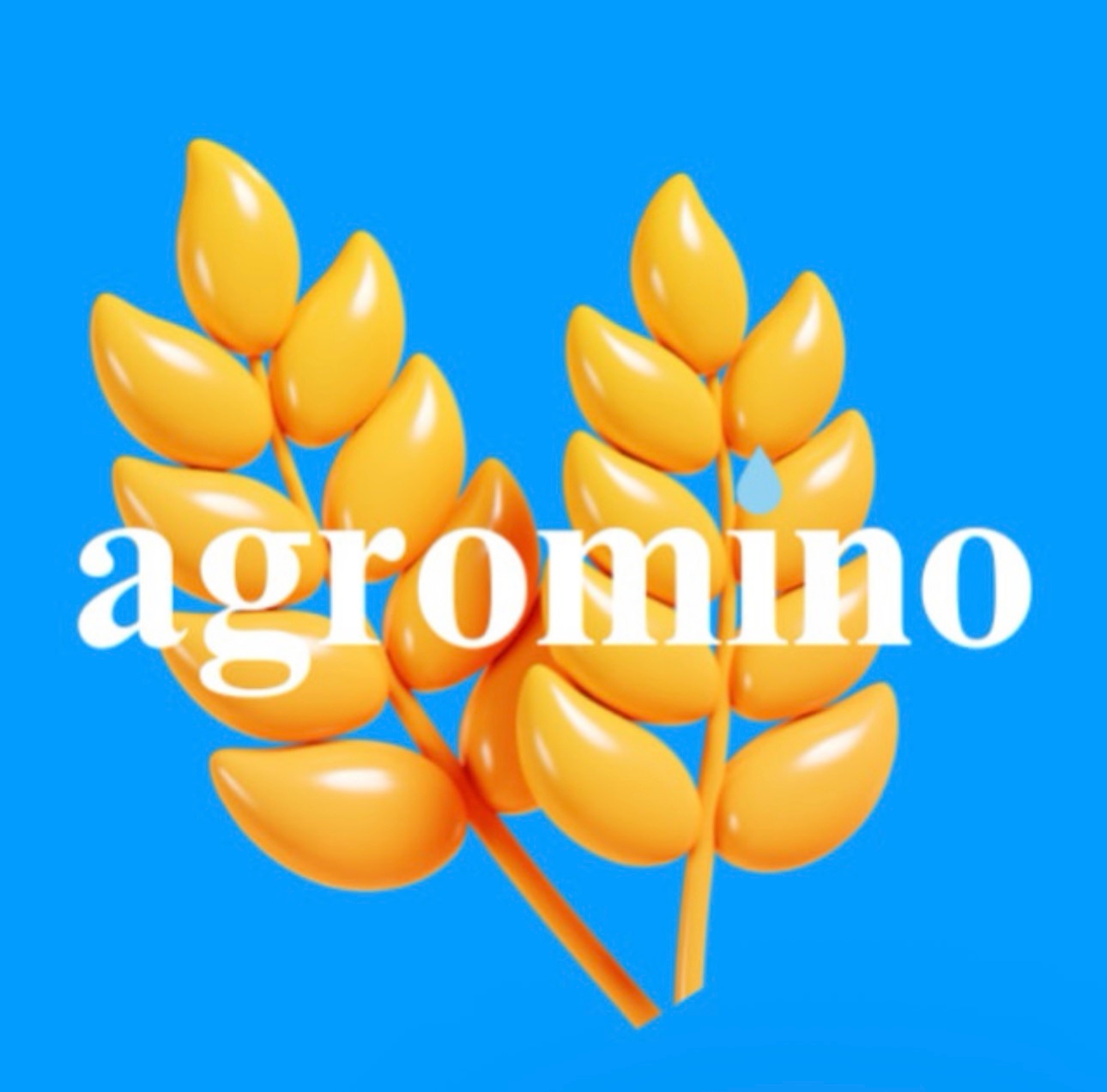 AGROMINO
